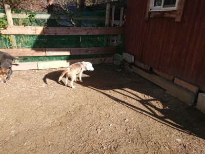 f:id:roukenhome-ann:20181209114544j:plain