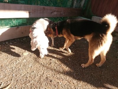 f:id:roukenhome-ann:20181209114613j:plain