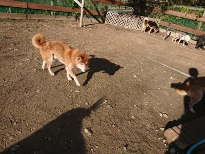 f:id:roukenhome-ann:20181209115126j:plain