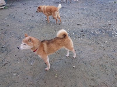 f:id:roukenhome-ann:20181209115226j:plain