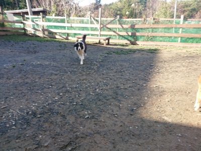 f:id:roukenhome-ann:20181209115231j:plain