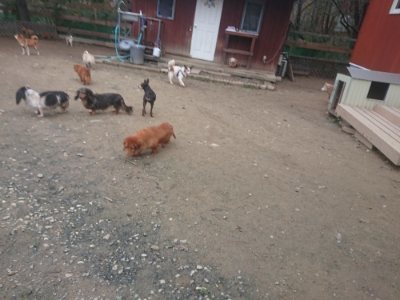 f:id:roukenhome-ann:20181210091307j:plain