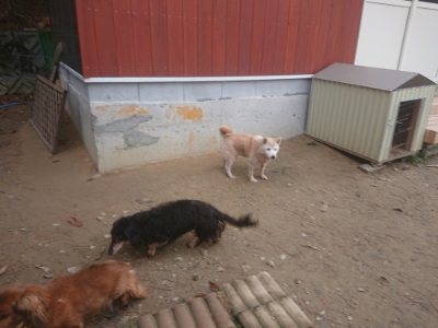 f:id:roukenhome-ann:20181210091321j:plain