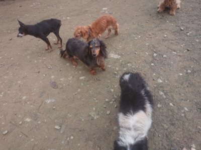 f:id:roukenhome-ann:20181210091406j:plain