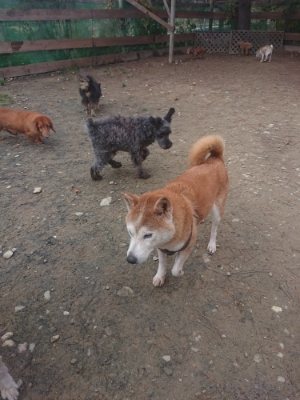 f:id:roukenhome-ann:20181210091411j:plain