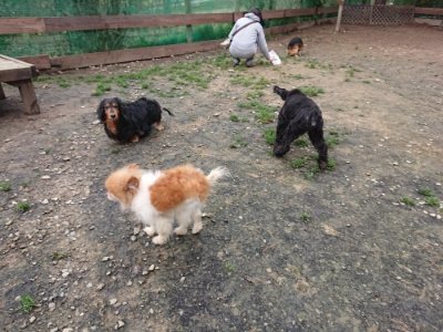 f:id:roukenhome-ann:20181210091455j:plain