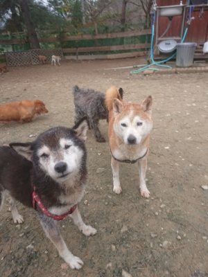 f:id:roukenhome-ann:20181210091522j:plain