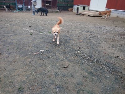 f:id:roukenhome-ann:20181210091527j:plain