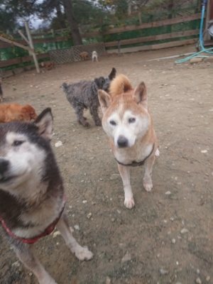 f:id:roukenhome-ann:20181210091551j:plain