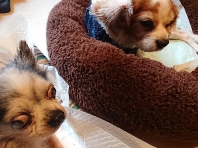 f:id:roukenhome-ann:20181210091643j:plain