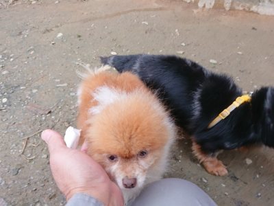 f:id:roukenhome-ann:20181210091926j:plain