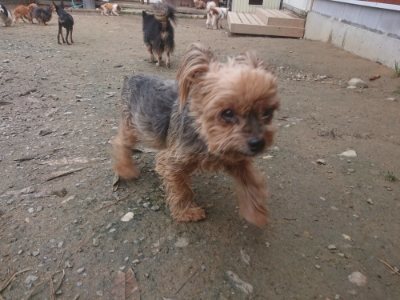 f:id:roukenhome-ann:20181210091949j:plain