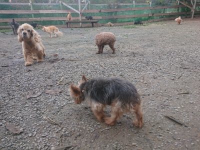 f:id:roukenhome-ann:20181210091955j:plain