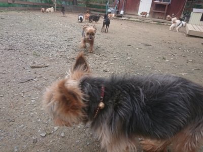 f:id:roukenhome-ann:20181210092017j:plain