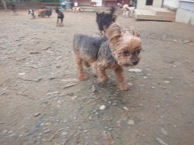 f:id:roukenhome-ann:20181210092023j:plain