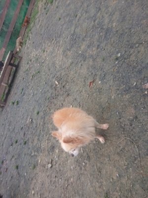 f:id:roukenhome-ann:20181210092302j:plain