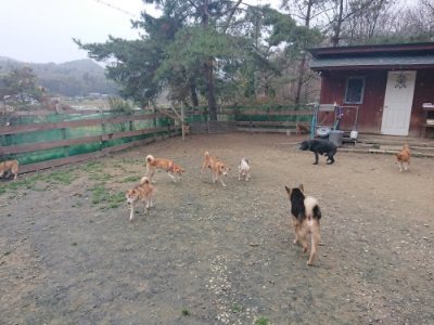 f:id:roukenhome-ann:20181210142526j:plain