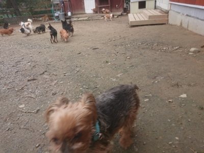 f:id:roukenhome-ann:20181210142536j:plain