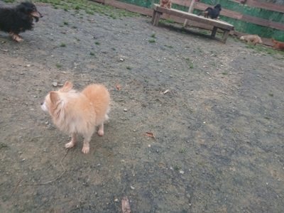 f:id:roukenhome-ann:20181210142541j:plain