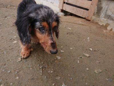f:id:roukenhome-ann:20181210142559j:plain