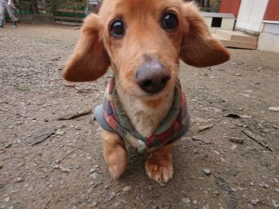 f:id:roukenhome-ann:20181210142631j:plain