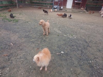 f:id:roukenhome-ann:20181210142647j:plain
