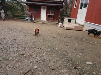 f:id:roukenhome-ann:20181210142653j:plain
