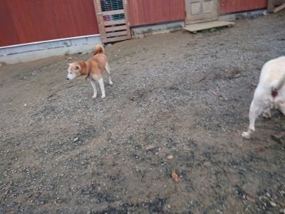 f:id:roukenhome-ann:20181210142716j:plain