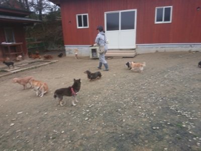 f:id:roukenhome-ann:20181210142726j:plain