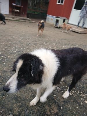 f:id:roukenhome-ann:20181210142735j:plain