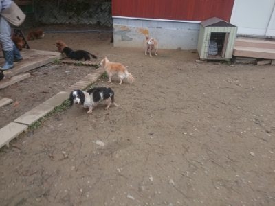 f:id:roukenhome-ann:20181210142830j:plain