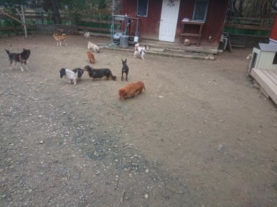 f:id:roukenhome-ann:20181210142859j:plain