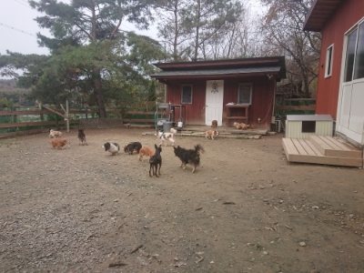f:id:roukenhome-ann:20181210142926j:plain