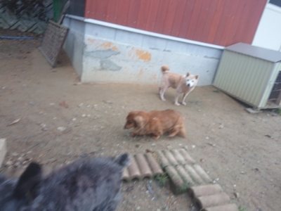 f:id:roukenhome-ann:20181210143350j:plain