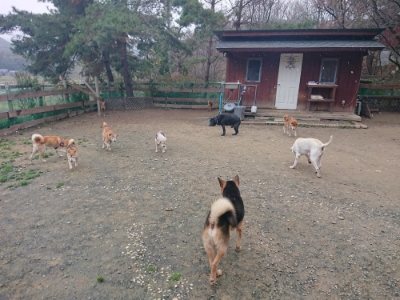 f:id:roukenhome-ann:20181210143446j:plain