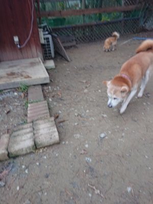 f:id:roukenhome-ann:20181210143510j:plain