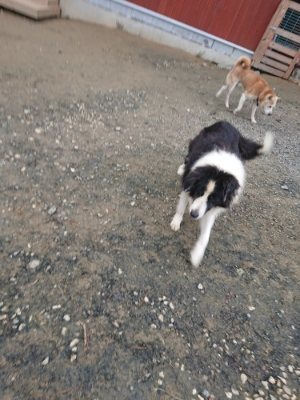 f:id:roukenhome-ann:20181210143545j:plain