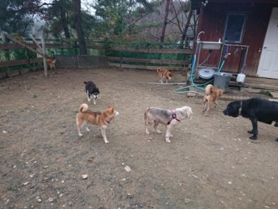 f:id:roukenhome-ann:20181210143614j:plain