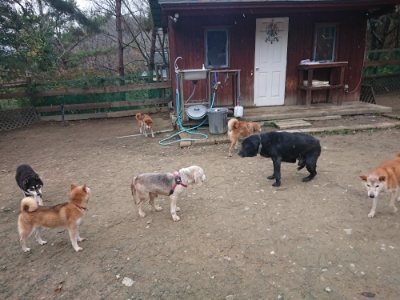 f:id:roukenhome-ann:20181210143808j:plain