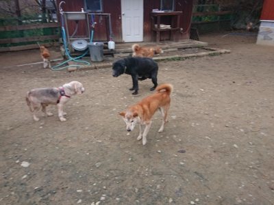 f:id:roukenhome-ann:20181210143813j:plain