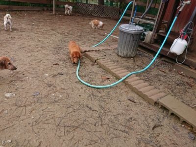 f:id:roukenhome-ann:20181210222553j:plain