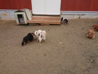 f:id:roukenhome-ann:20181210222559j:plain