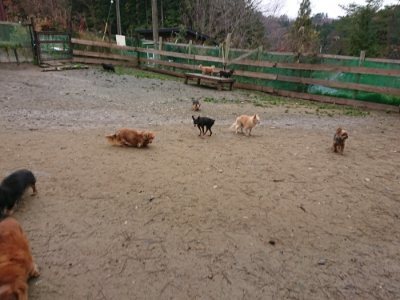 f:id:roukenhome-ann:20181210222743j:plain