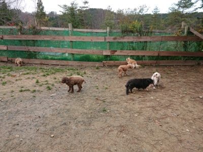 f:id:roukenhome-ann:20181210223204j:plain