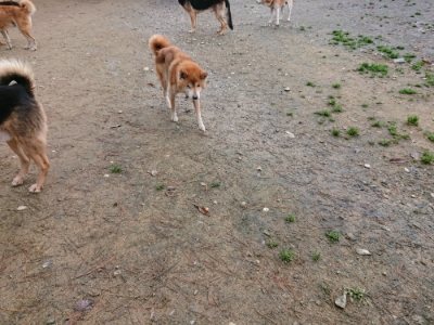 f:id:roukenhome-ann:20181210223451j:plain