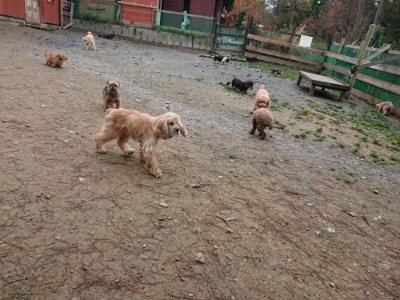 f:id:roukenhome-ann:20181210223507j:plain