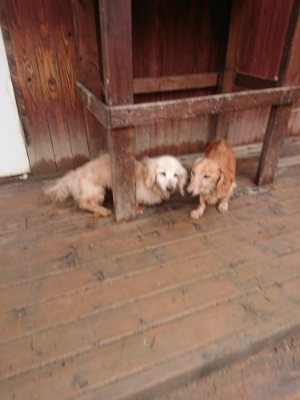 f:id:roukenhome-ann:20181210223931j:plain