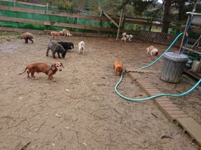 f:id:roukenhome-ann:20181210223955j:plain