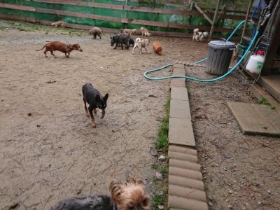 f:id:roukenhome-ann:20181210224015j:plain