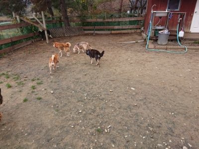 f:id:roukenhome-ann:20181210224258j:plain